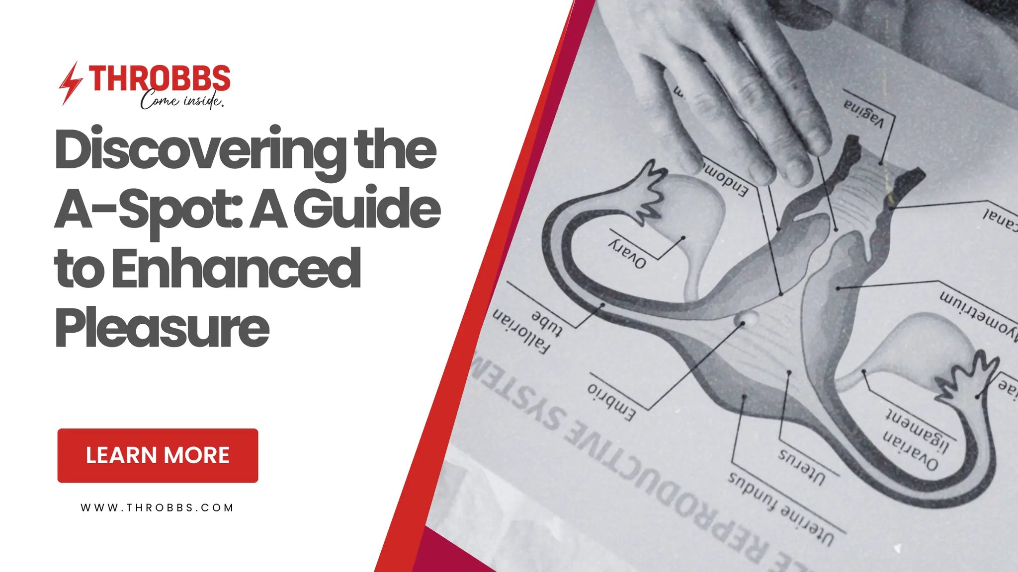 Discovering the A-Spot: A Guide to Enhanced Pleasure