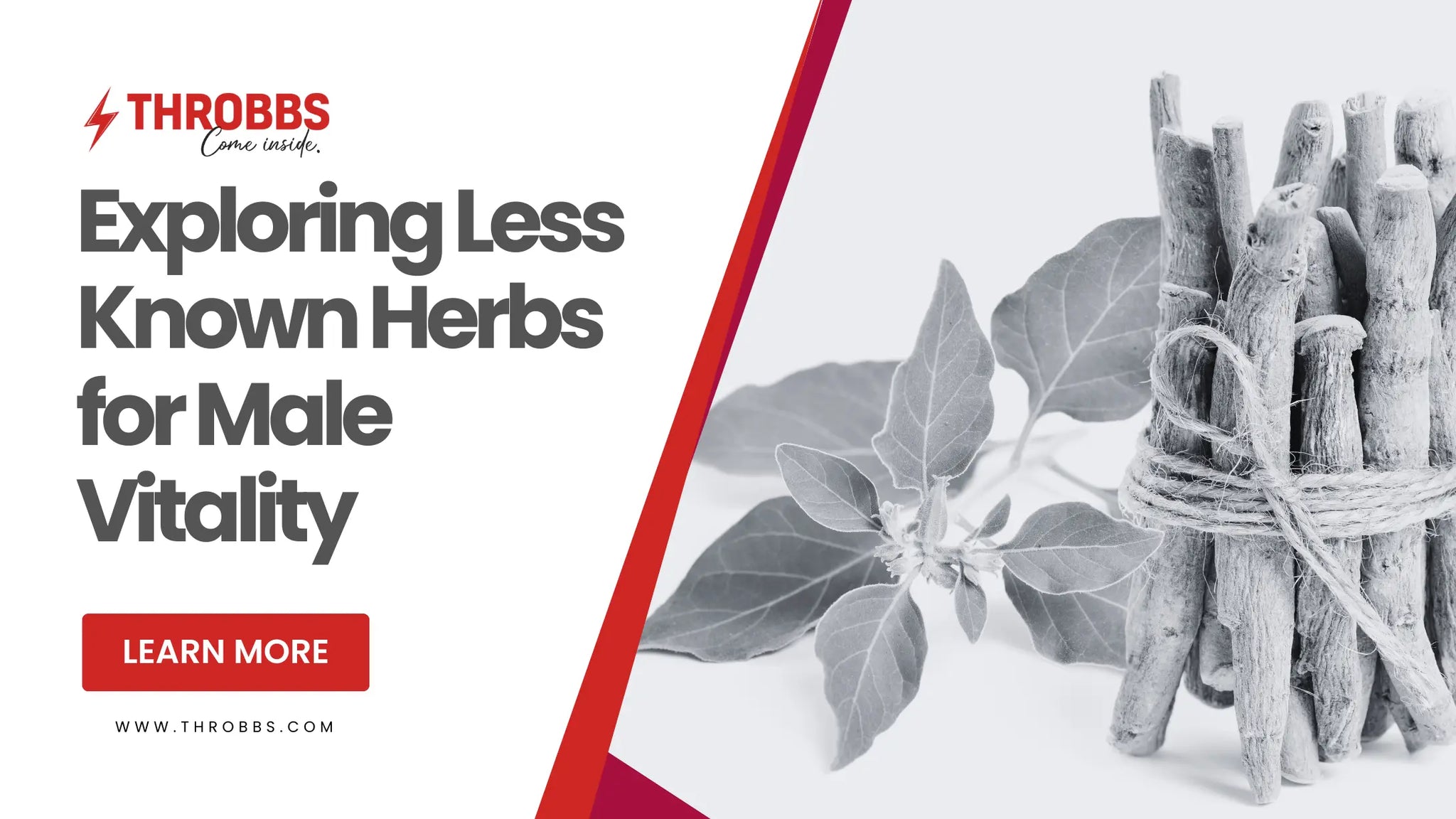 Exploring Less Known Herbs for Male Vitality