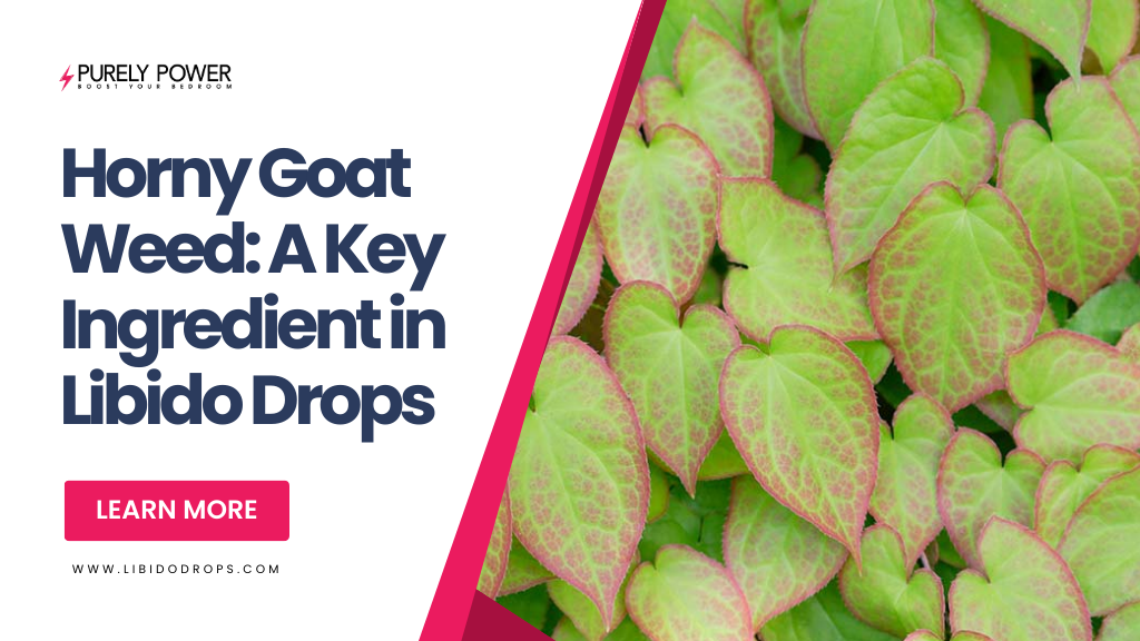 Horny Goat Weed: A Key Ingredient in Libido Drops