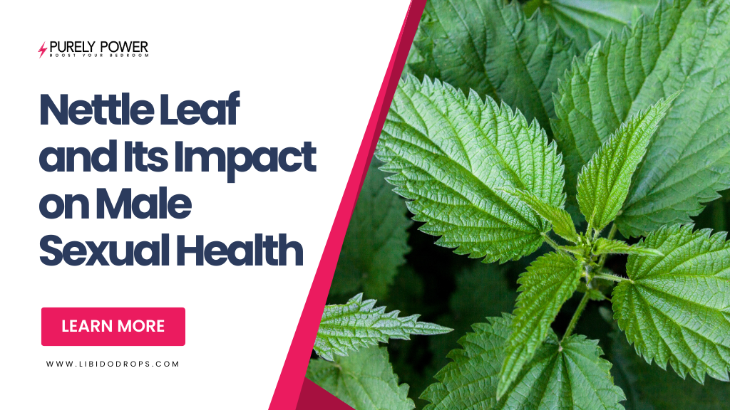 Nettle Leaf and Its Impact on Male Sexual Health
