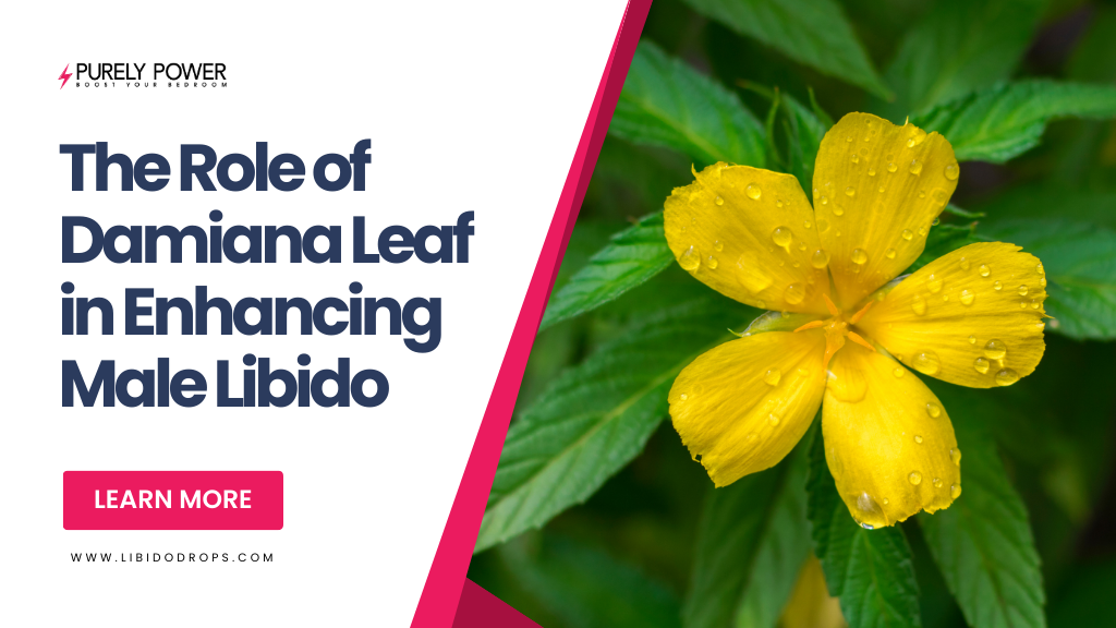 The Role of Damiana Leaf in Enhancing Male Libido