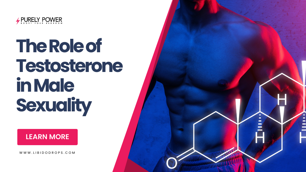 The Role of Testosterone in Male Sexuality