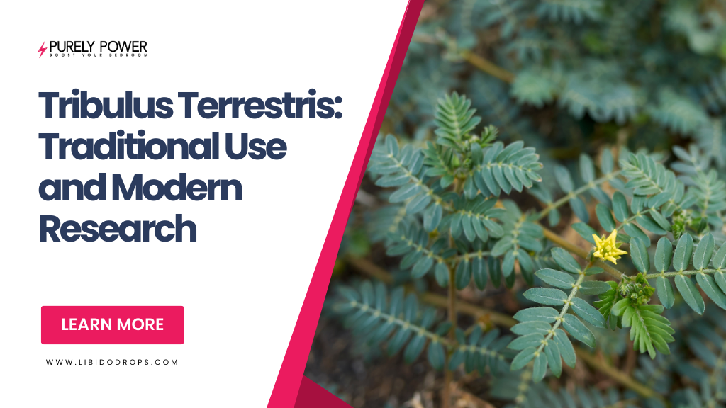 Tribulus Terrestris: Traditional Use and Modern Research