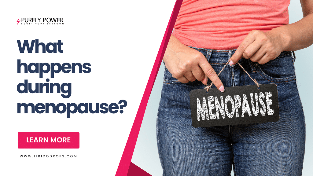 What happens during menopause?