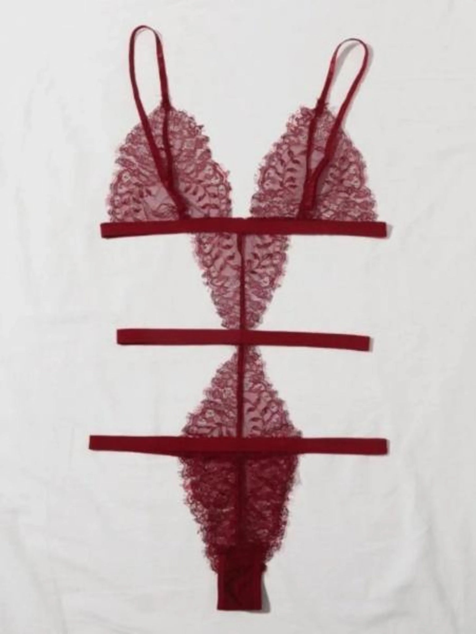 Floral Embroidered Lace Mesh Teddy