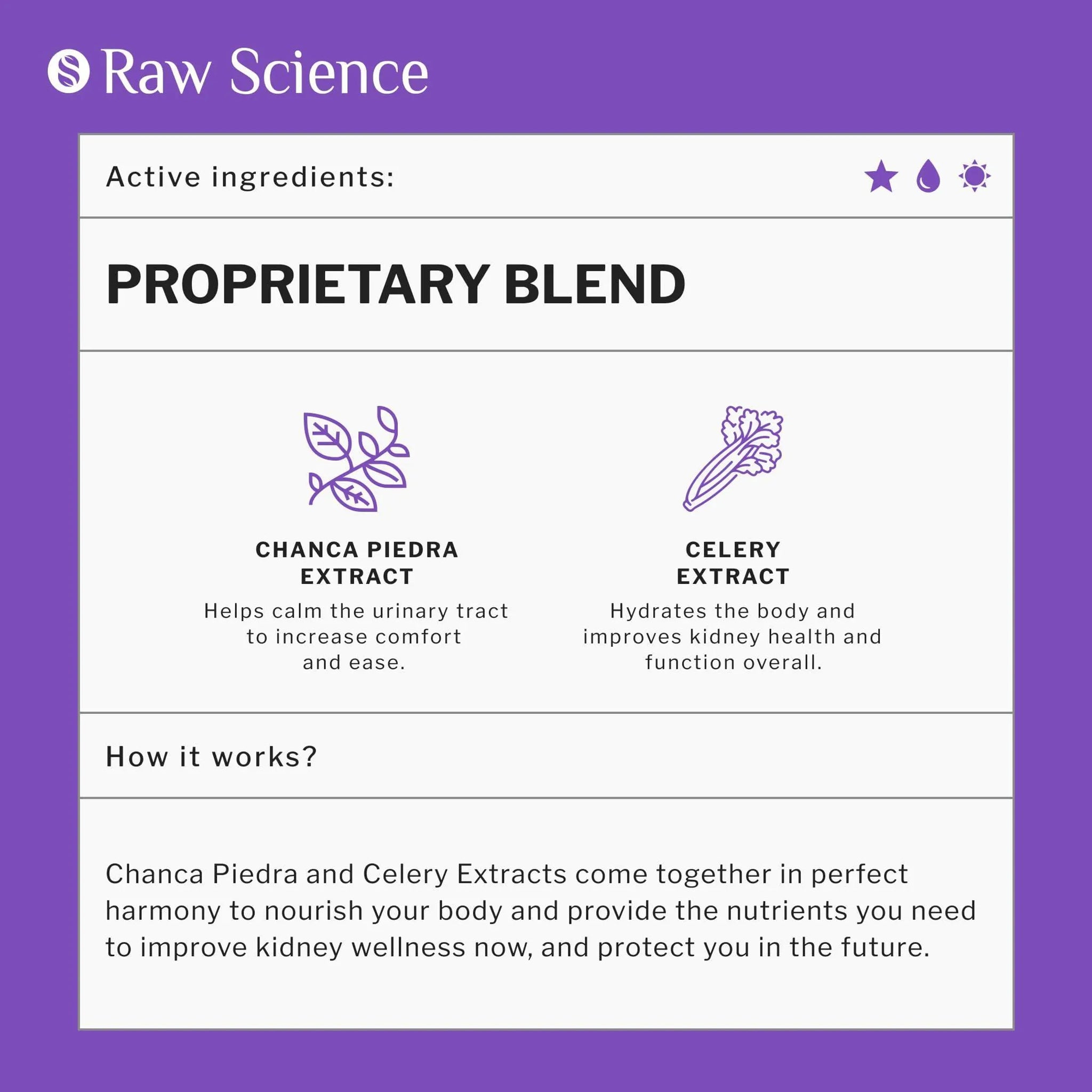 Liver Cleanse Detox & Repair Milk Thistle Dandelion Root Choline Artichoke Extract for Liver Health Gallbladder Cleanse & Kidney Support Supplement wi