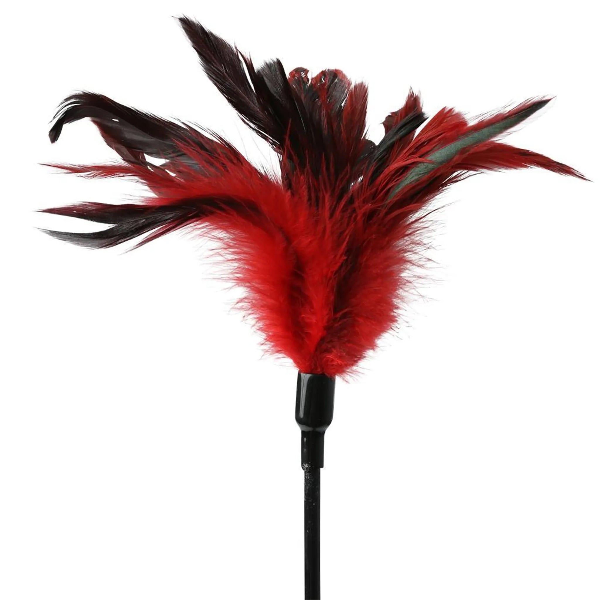 SEX & MISCHIEF FEATHER SLAPPER