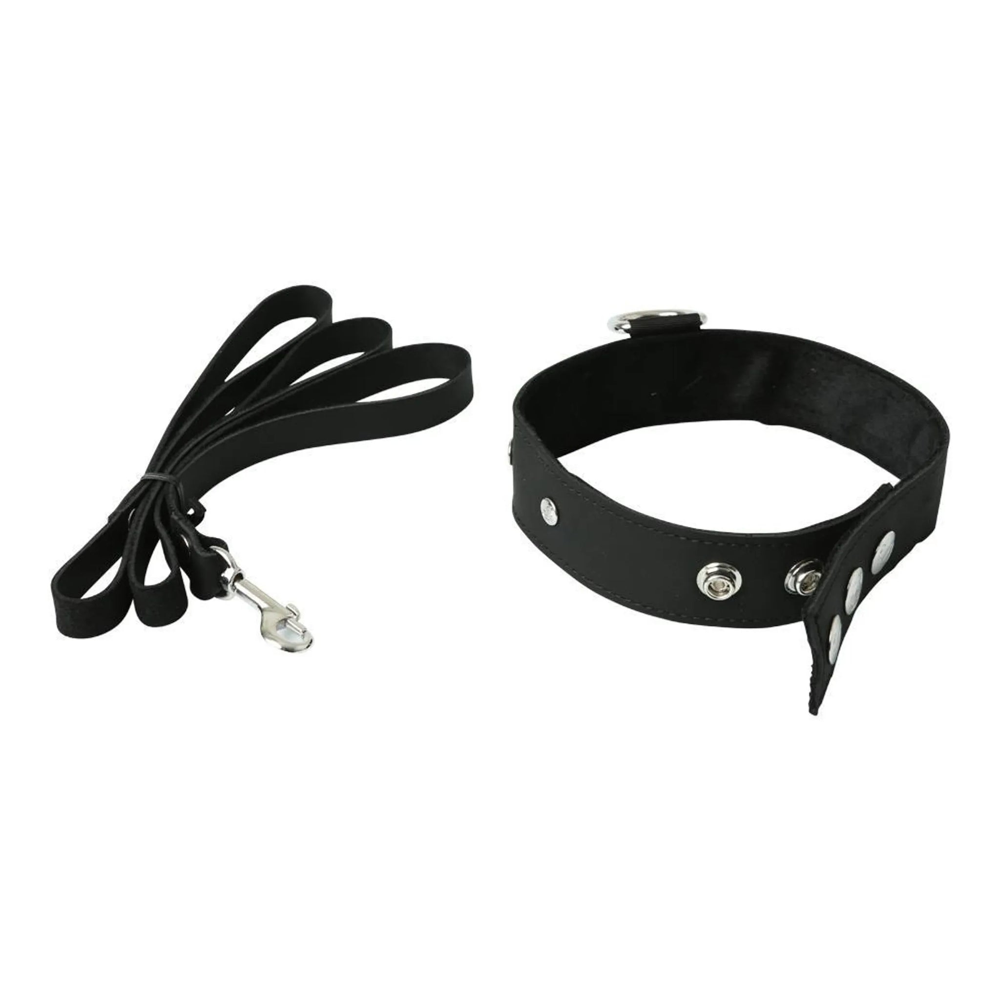 PREMIUM LEATHER LEASH & COLLAR