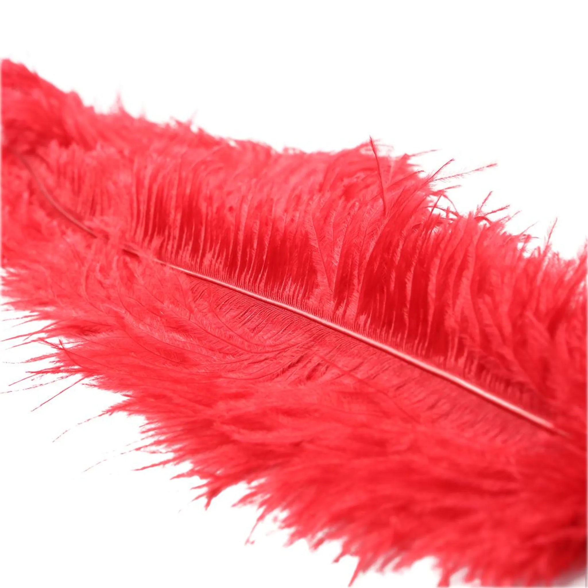 OSTRICH FEATHER RED