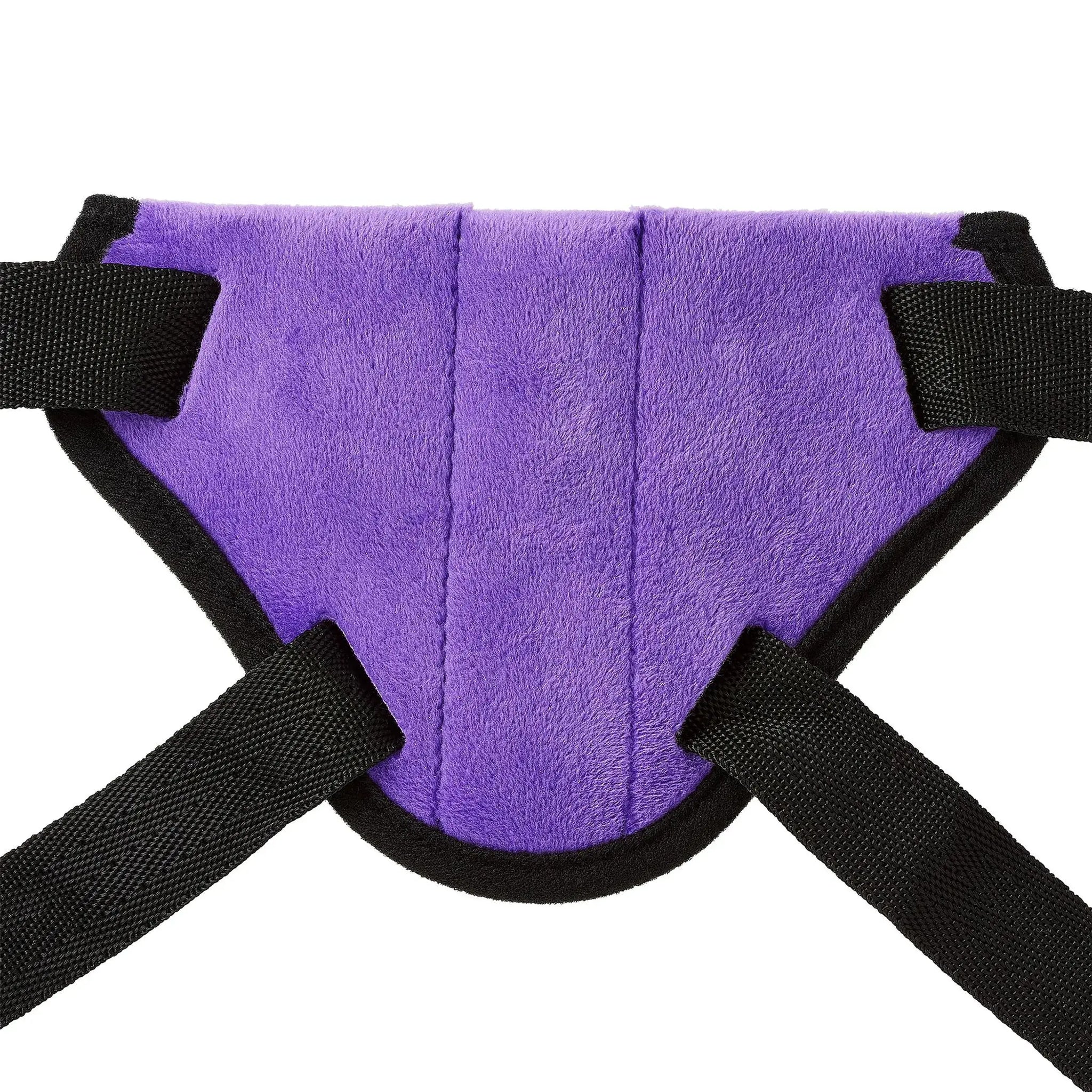 STRAP-ON HARNESS KIT PURPLE Cloud 9 Novelties