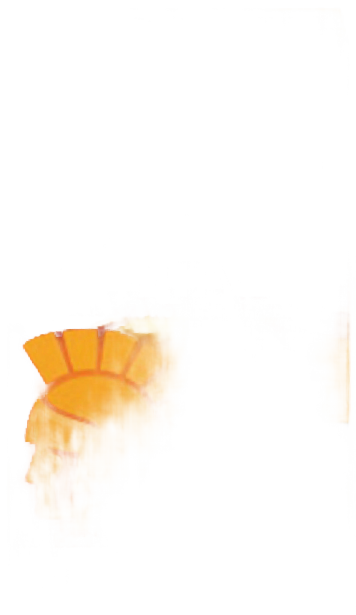 TROJAN ULTRA RIBBED ECSTASY 10 PACK Trojan