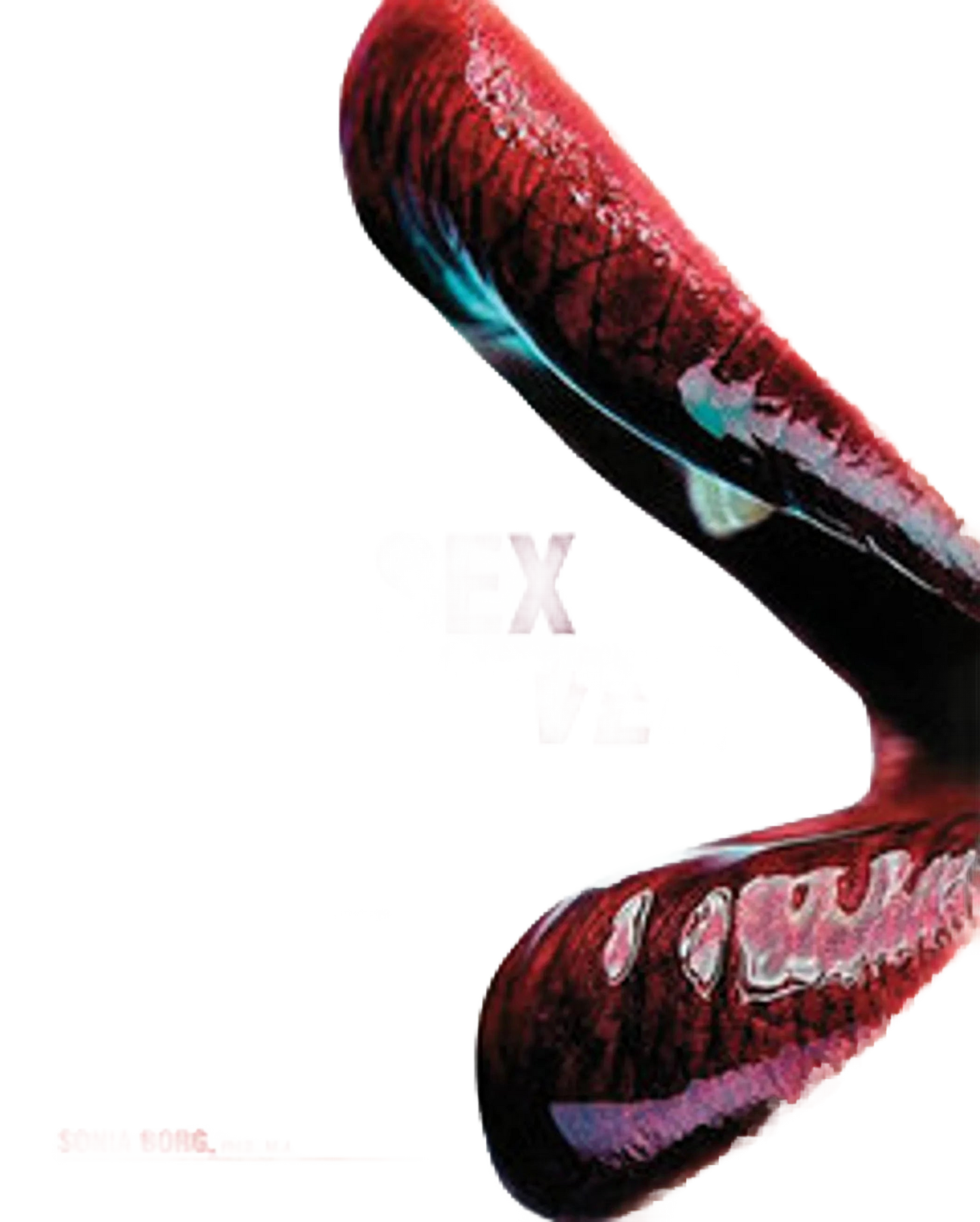 ORAL SEX HELL NEVER FORGET (NET) Assorted Books and Mags