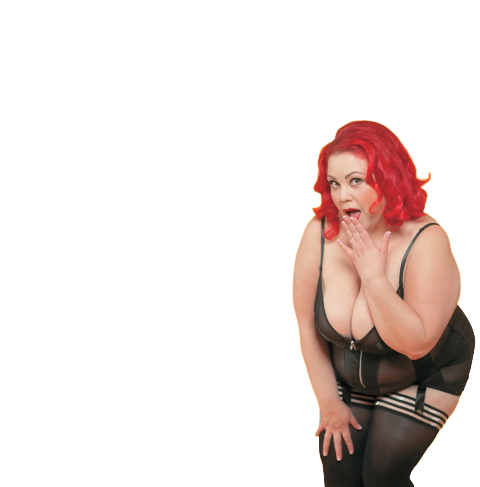 CURVY GIRL SEX 101 Assorted Books and Mags